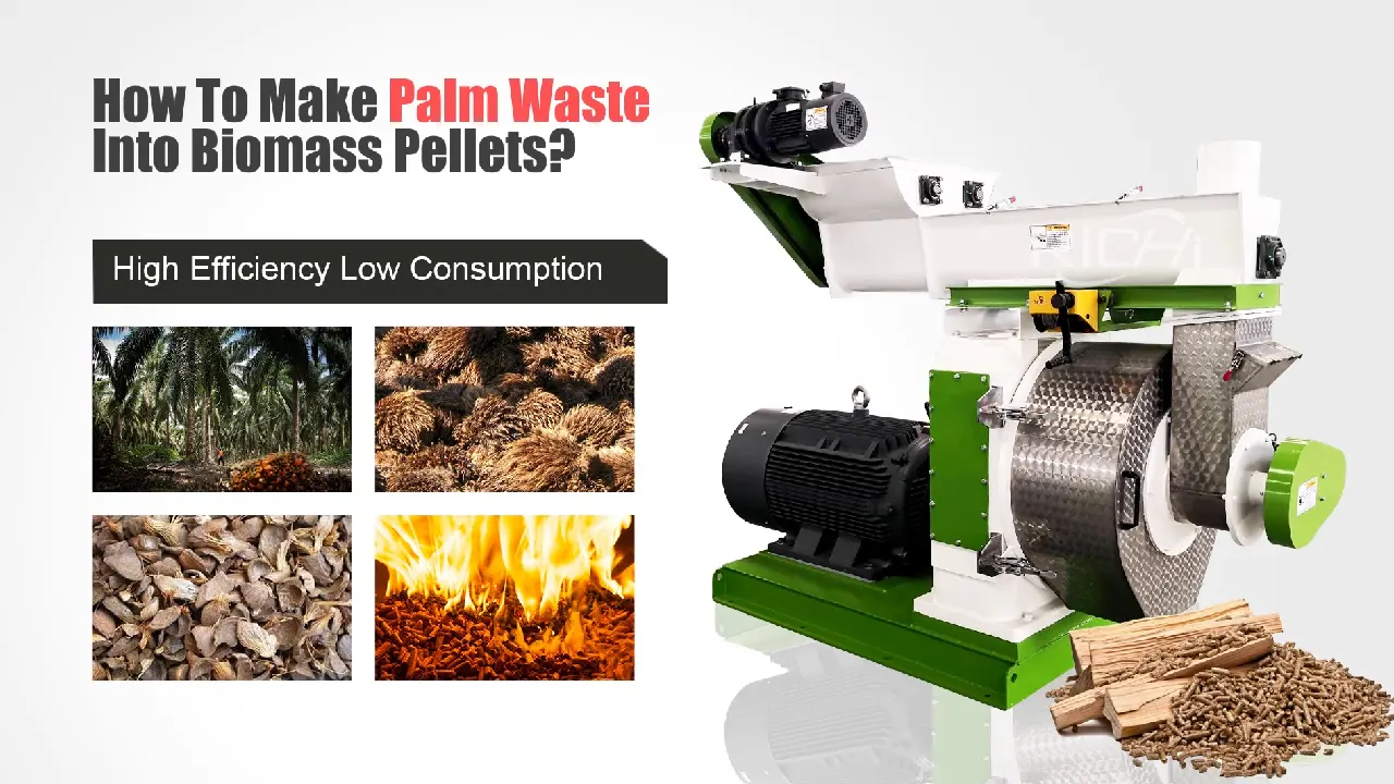 Featured images from a video on the efficient recycling and processing of palm fiber waste