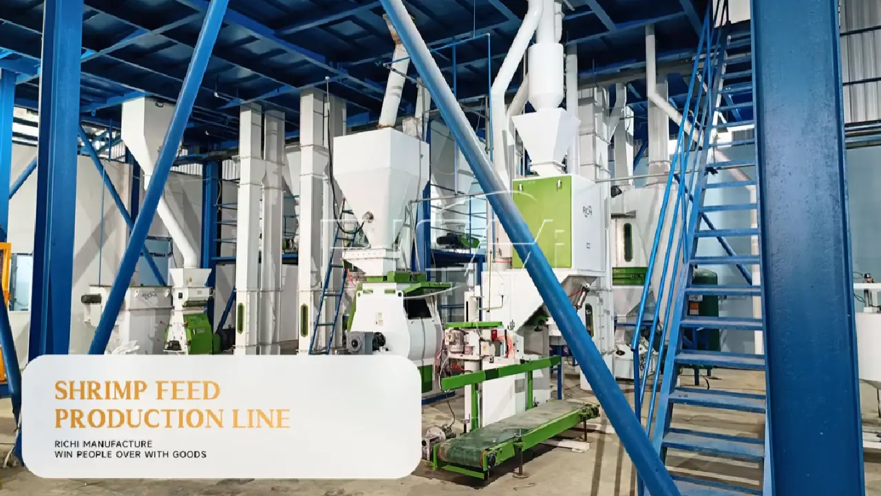 Running Test of Triple Conditioner Shrimp Feed Pellet Mill