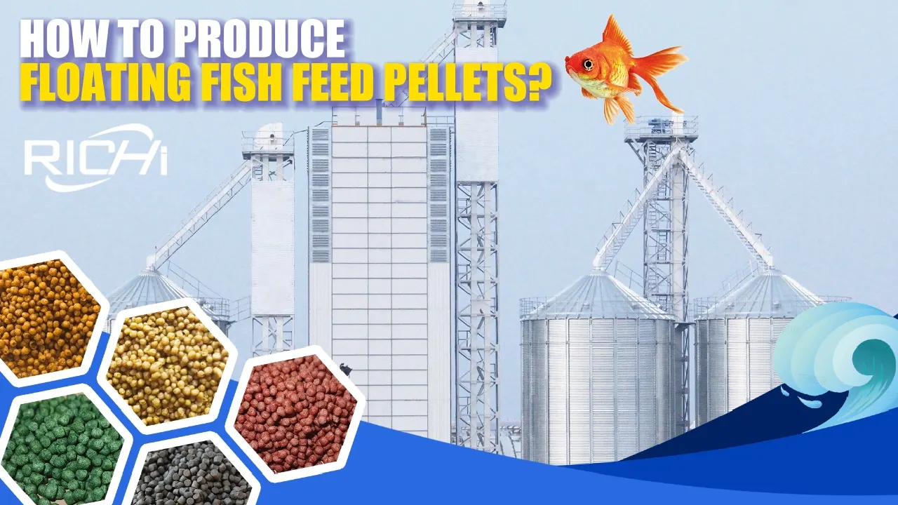 Featured images from the demonstration video of the twin-screw fish feed extruder