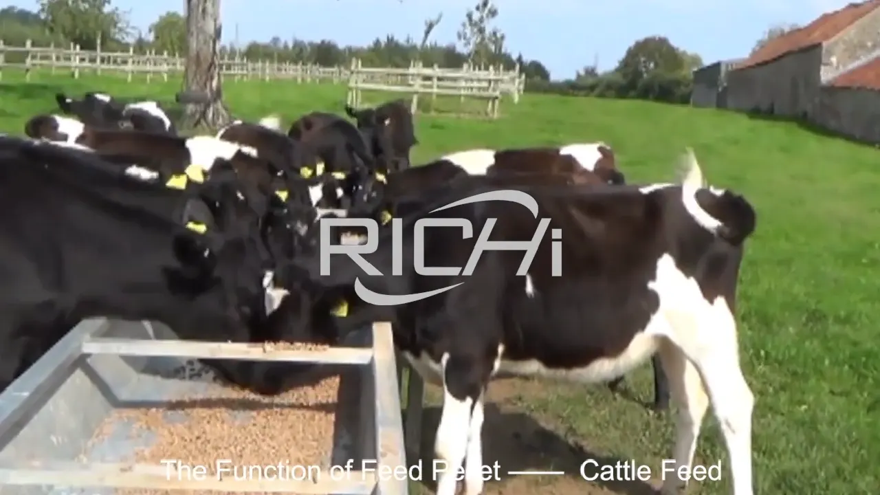 Images tirées de la vidéo présentant une chaîne de production de granulés alimentaires pour bovins