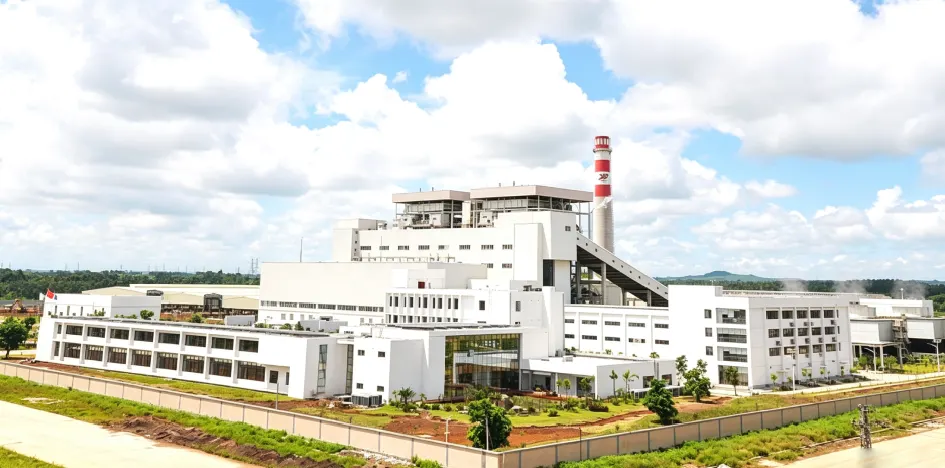Animal bedding pellet production line with broad market prospects