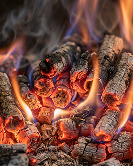 EFB pellet production process