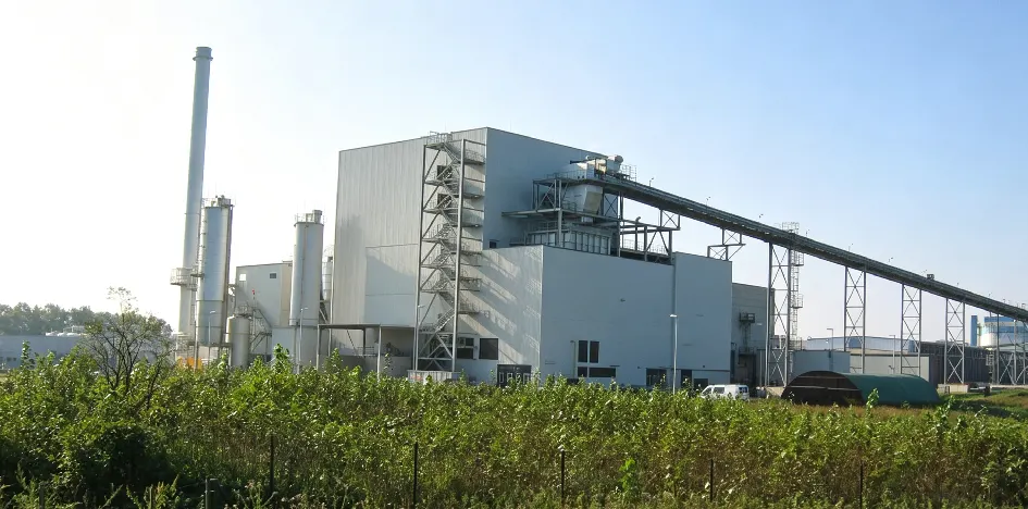 Fresh EFB pellet production line, complete processing plant for wet empty fruit bunch biomass pellet making