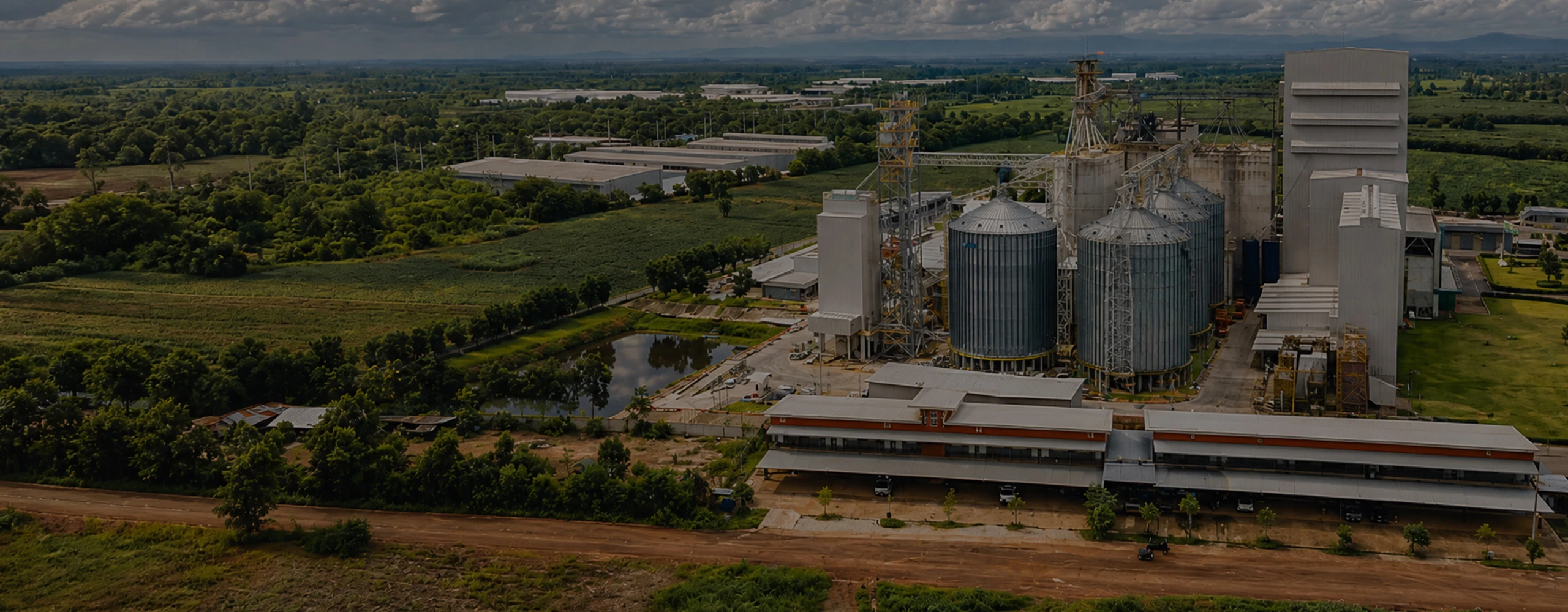 Complete livestock feed production line for making sheep cattle pig animal feed pellets