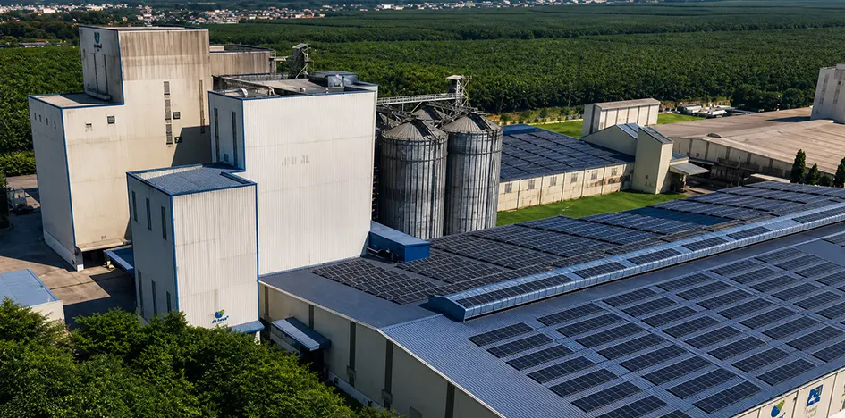 Turnkey poultry and livestock feed pellet production line