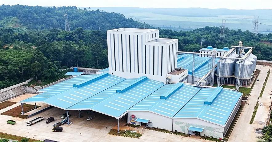 RICHI feed pellet mills are used in poultry feed production line construction.