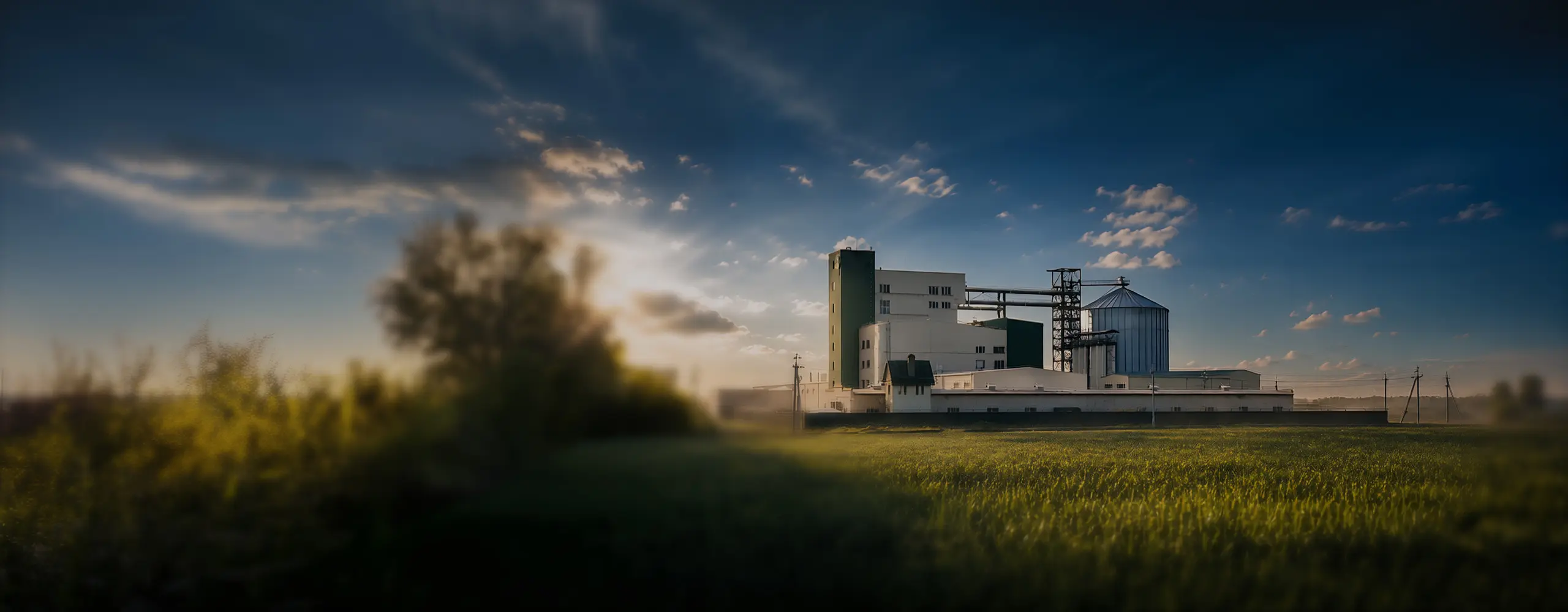 RICHI is a professional feed pellet manufacturer