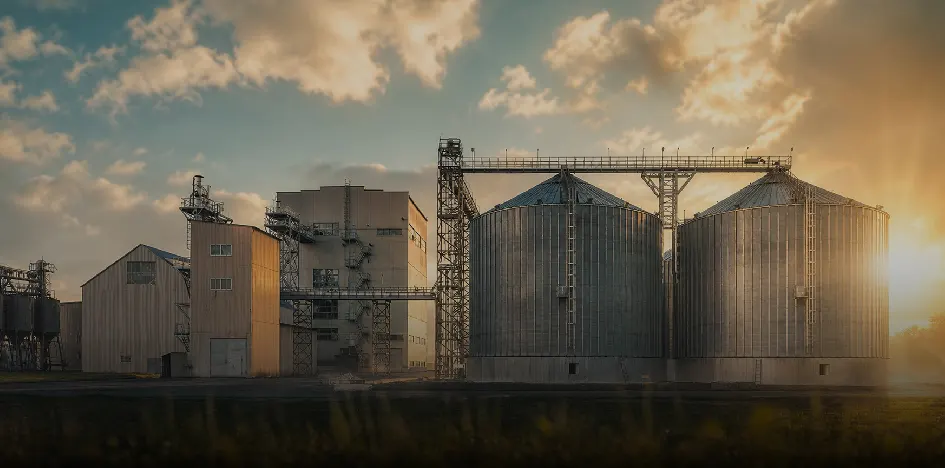 RICHI's ruminant feed production line can process high-fiber raw materials, meeting the dietary needs of cattle, horses, sheep, and other animals.