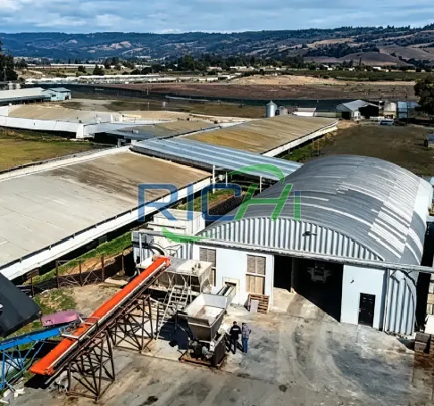 Fully automatic 10T/H chicken sheep cow dung manure pellet fertilizer plant in New Zealand