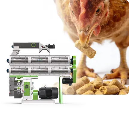 อุปกรณ์เครื่องผลิตเม็ดอาหารไก่, เครื่องผลิตเม็ดอาหารสัตว์ปีก สำหรับโรงงานผลิตอาหารไก่