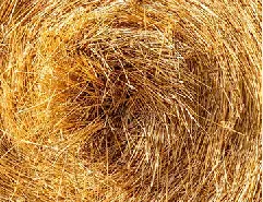 التبن الجاف كمواد خام لآلة تصنيع كريات وقود الكتلة الحيوية