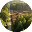 Forest Farm liefert Holzrohstoffe für die Herstellung von Holzpelletmaschinen
