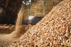 Biomasse aus gemischtem Holz als Rohstoff für eine komplette Produktionslinie zur Herstellung von Holzpellets
