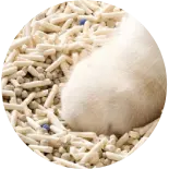 Maßgeschneiderte Produktionslinie für Katzenstreu-Pellets von RICHI, Maschine zur Herstellung von Bentonit-Tofu-Katzenstreu-Pellets für eine Fabrik für Heimtierbedarf