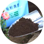 Maßgeschneiderte Produktionsanlage von RICHI zur Herstellung von Bio-Düngerpellets, Maschine zur Herstellung von Bio-Düngerpellets für landwirtschaftliche Betriebe
