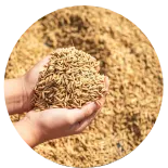 Maßgeschneiderte Produktionsanlage von RICHI zur Herstellung von Reisschalenpellets, Reisschalen-Brennstoffpellet-Presse für Hersteller von Biomasseenergie