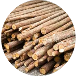 Maßgeschneiderte Holzpellet-Produktionsanlage von RICHI, Maschine zur Herstellung von Brennstoffpellets aus Sägemehl für Biomasse-Energieprojekte