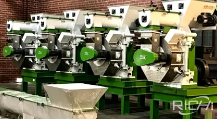 Großindustrielle Holzpellet-Produktionsanlage mit einer Leistung von 10 tph aus den USA, bestehend aus mehreren Holzpellet-Pressen