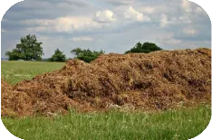 کود مرغ مخلوط با خاکستر بستر (خردهچوب و کاه)، مادهٔ خام برای دستگاه پلتساز کود مرغ
