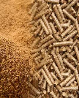 Rice husk biomass fuel pellets made by rice husk pellet mill